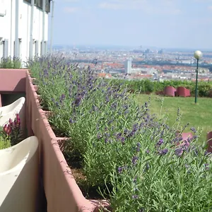 navštívit hotel
